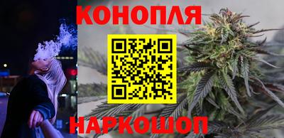 дживик Гай