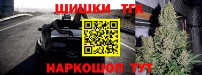 дживик Гай