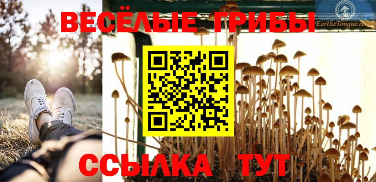 Псилоцибиновые грибы прущие грибы Саров