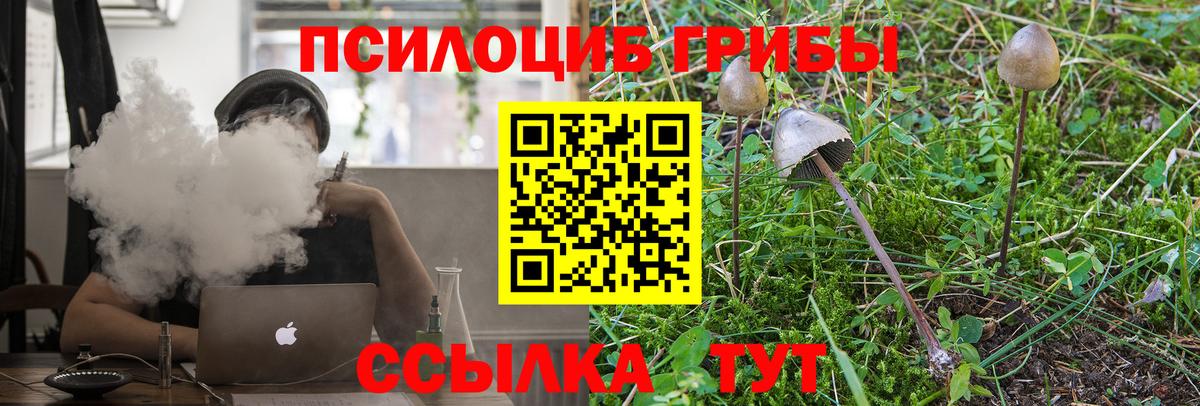 Галлюциногенные грибы Psilocybine cubensis  Вход с VPN  Саров 